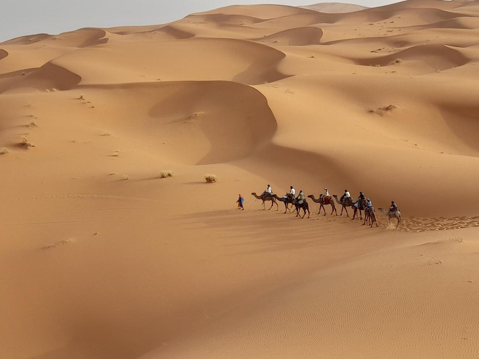Luxury Camp Camelhouse Ξενοδοχείο Merzouga Εξωτερικό φωτογραφία