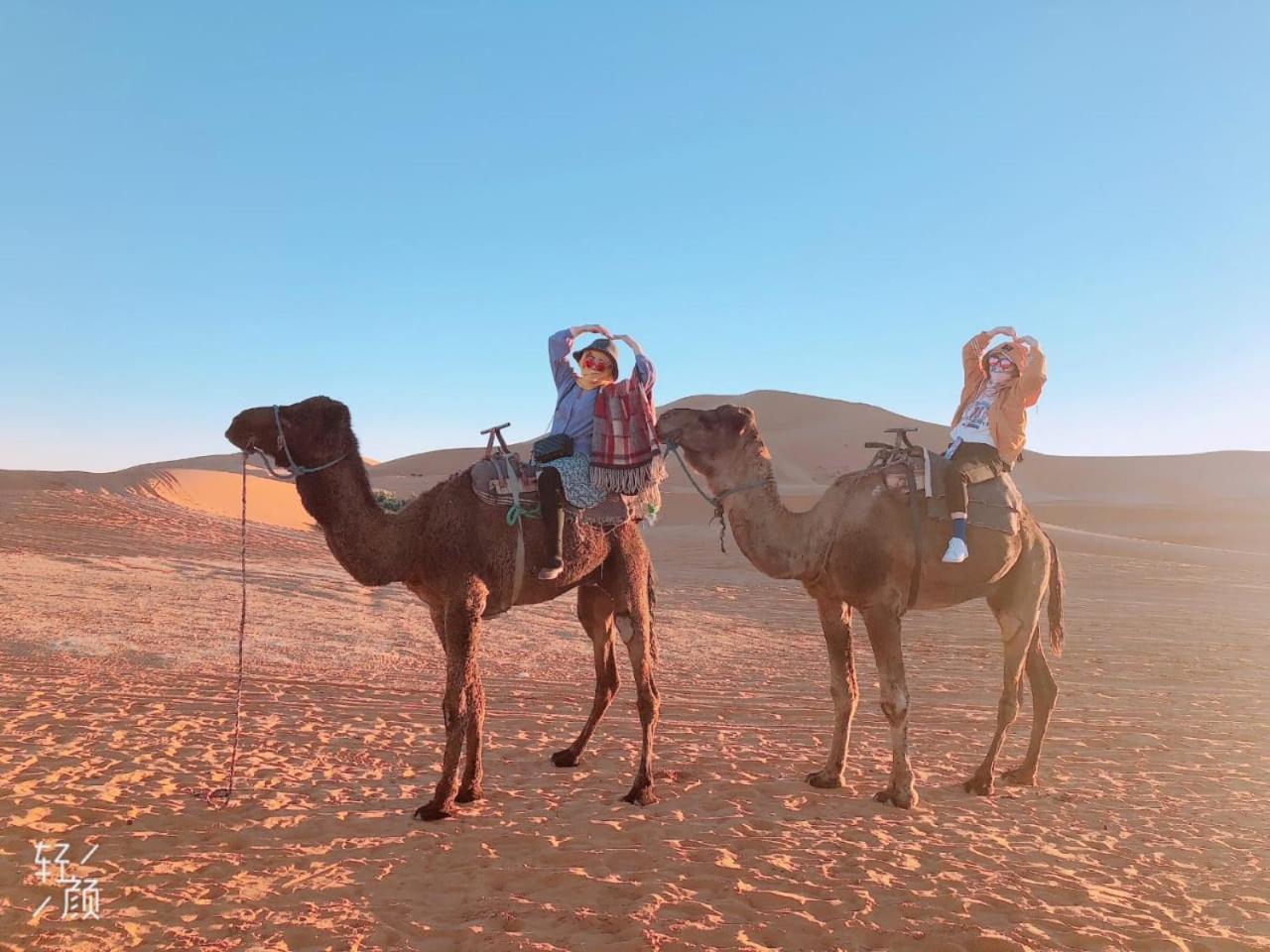 Luxury Camp Camelhouse Ξενοδοχείο Merzouga Εξωτερικό φωτογραφία